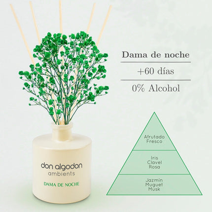 Don Algodon Ambients Mikado Dama de Noche con Flor Decorativa, Ambientador de Varillas 55 ml, 0% Alcohol, Duración +60 Días, Fragancia Floral