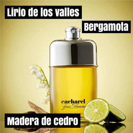 Cacharel Pour L'Homme Eau De Toilette Men's Perfume in Vaporizer 100 ml 