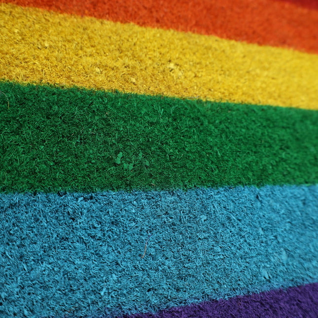 Rainbow Doormat for Home Entrance Door Non-Slip Rubber Base 100% Natural Coconut Fiber Material Home Decoration 40 x 70 cm Original Coconut Fiber Mat 