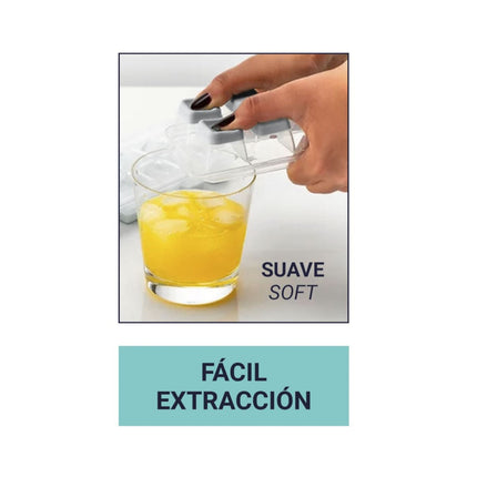 QUTTIN Cubitera con Tapa para 12 Cubitos, Molde de Hielo BPA Free, Fácil Extracción, Bandeja para Cubitos de Hielo, Bebidas, Cócteles y Refrescos