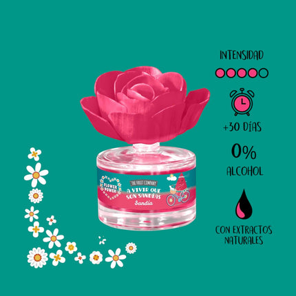 The Fruit Company Flor Perfumada Sandía 55 ml – Flower Power – Ambientador difusor decorativo con flor absorbente | Aroma sandía dulce y fresca | Para hogar y oficina