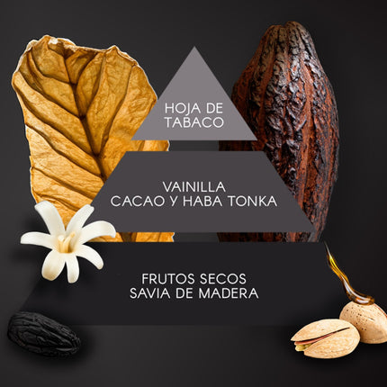 Don Algodón Set Black Jack Hombre Mini desodorante 100 ml + Eau de Toilette 30 ml + gel de ducha 75 ml + tarjetero metalico