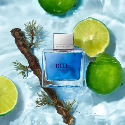 Antonio Banderas Blue Seduction Eau de Toilette Hombre 200 ml, Perfume Masculino Fresco y Elegante, Fragancia Azul con Vaporizador, Colonia para Diario y Regalo