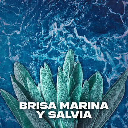 AXE Bodyspray para Hombre Marine – Desodorante en Spray con Fragancia de Brisa Marina y Salvia – 48h Protección – 150 ml