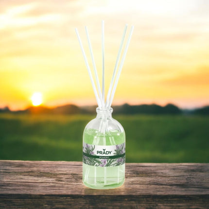 PRADY Ambientadores Mikado de 100 ml Ambientador Mikado ROMERO